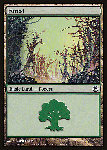 Forest