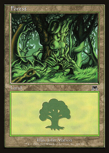 Forest