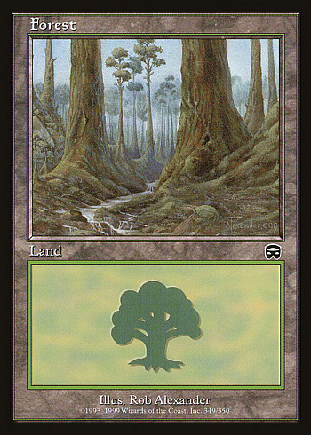 Forest