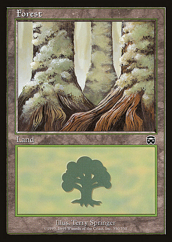 Forest