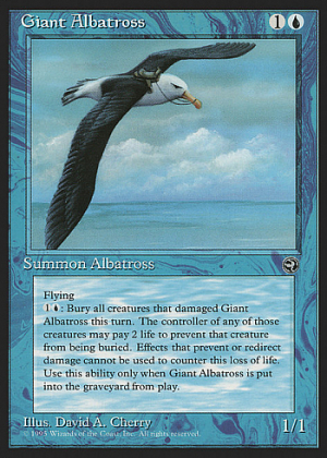 Giant Albatross