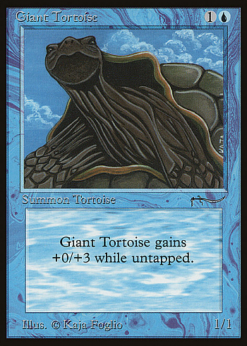 Giant Tortoise