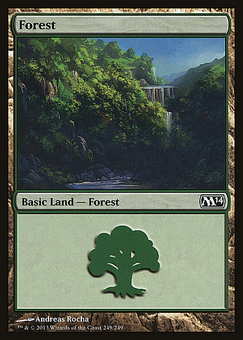 Forest