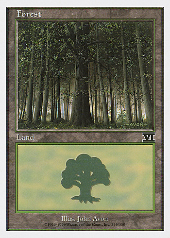 Forest