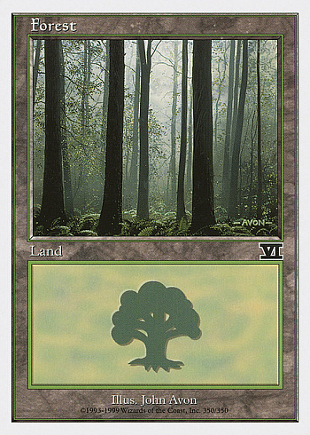 Forest