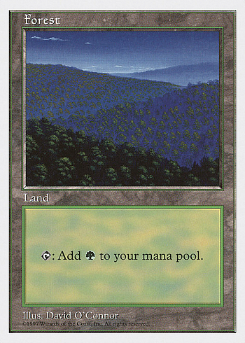 Forest