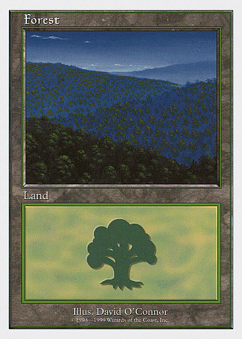 Forest