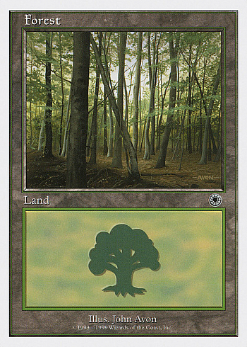 Forest