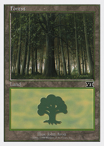 Forest