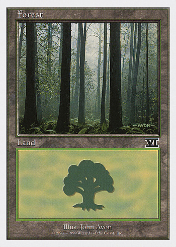 Forest