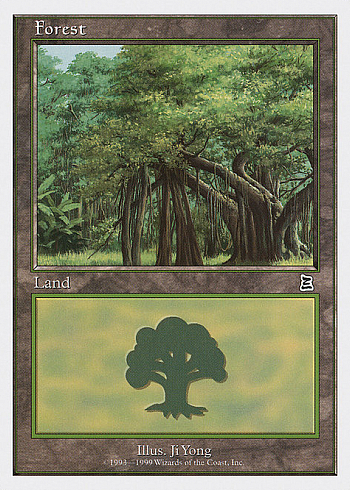 Forest