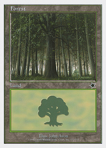 Forest