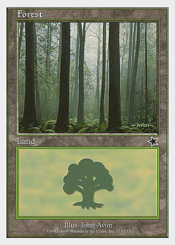Forest
