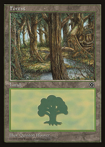 Forest