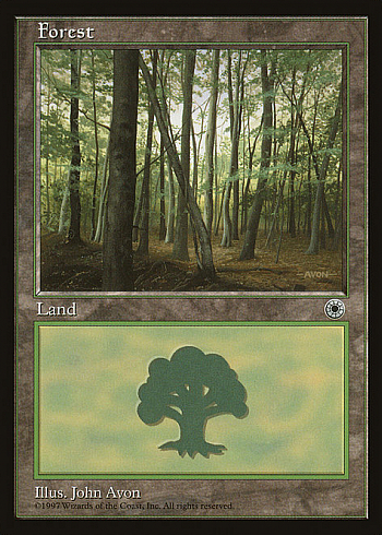 Forest