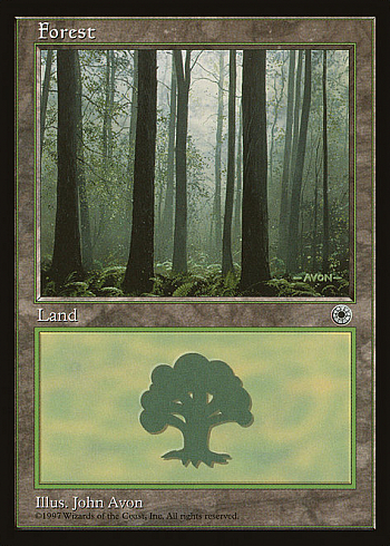Forest
