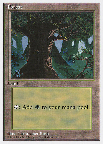 Forest