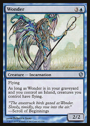 Wonder