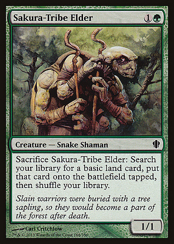 Sakura-Tribe Elder