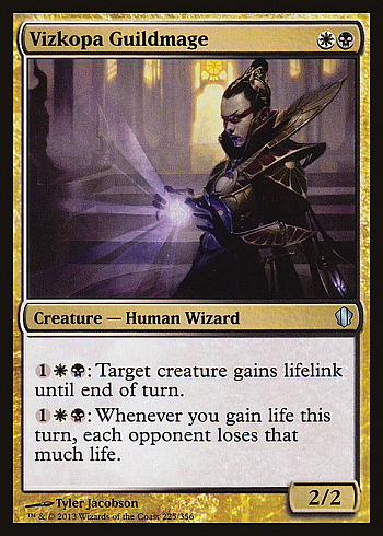 Vizkopa Guildmage