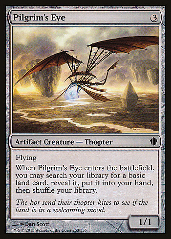 Pilgrim's Eye