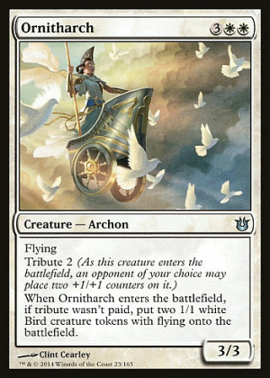 Ornitharch