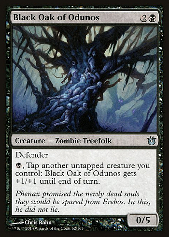 Black Oak of Odunos