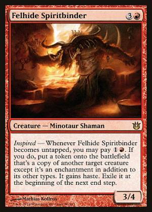 Felhide Spiritbinder