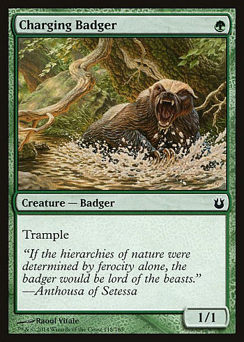 Charging Badger