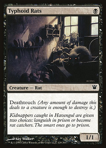 Typhoid Rats