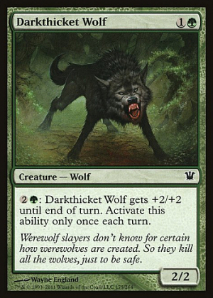 Darkthicket Wolf