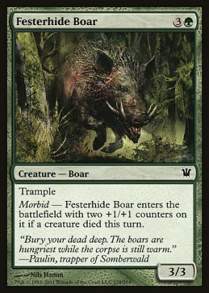 Festerhide Boar