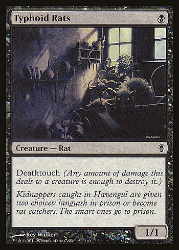 Typhoid Rats