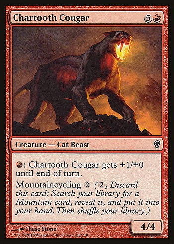 Chartooth Cougar