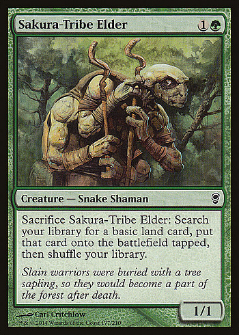 Sakura-Tribe Elder