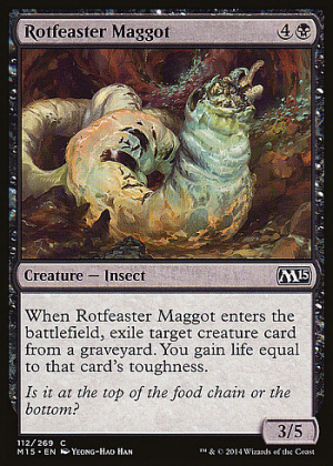 Rotfeaster Maggot