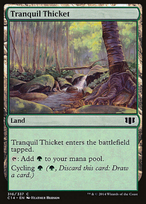 Tranquil Thicket