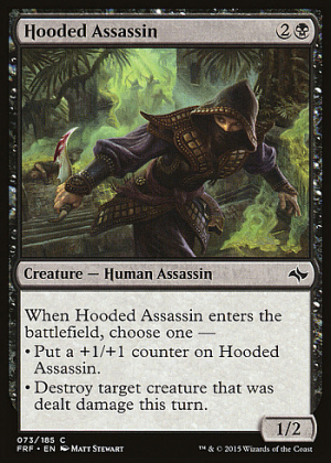 Hooded Assassin