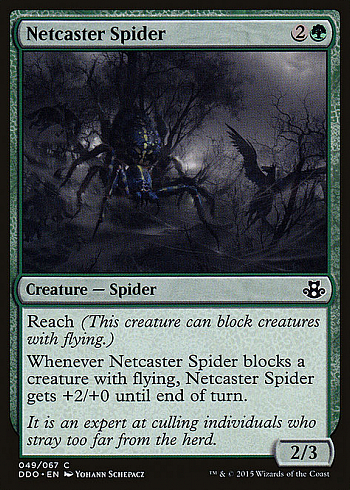Netcaster Spider