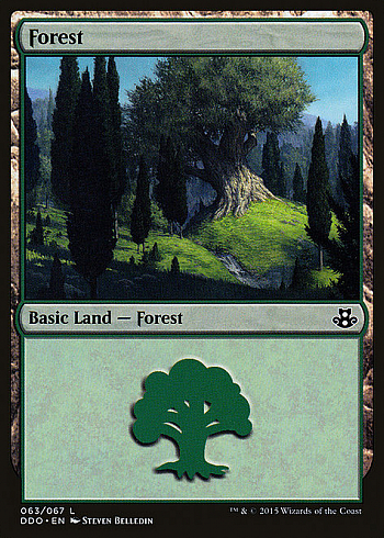 Forest