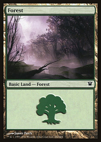 Forest