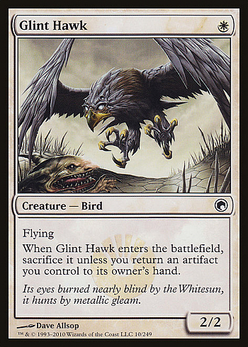 Glint Hawk
