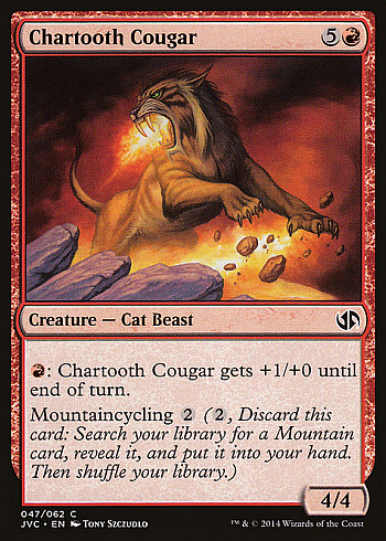 Chartooth Cougar