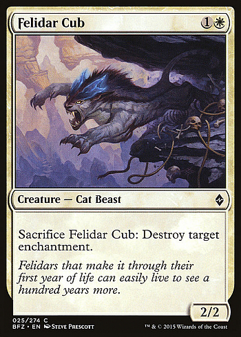 Felidar Cub