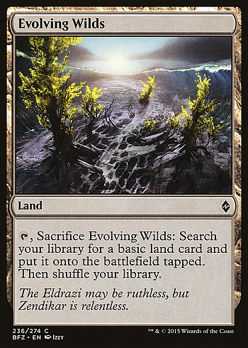 Evolving Wilds