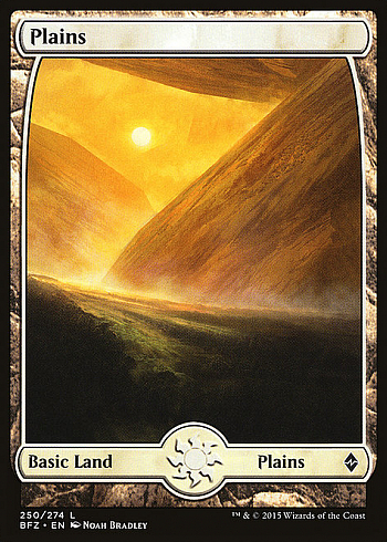 Plains