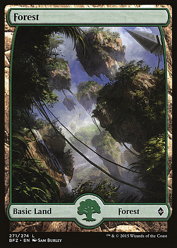 Forest