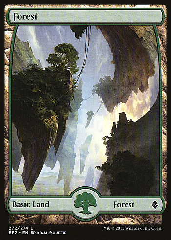 Forest