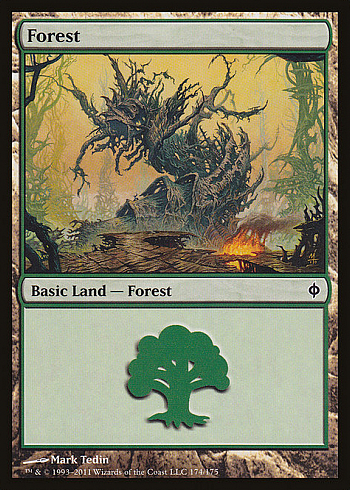 Forest