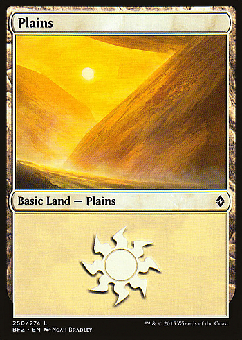 Plains